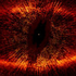 Avatar für form_al_haut