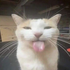 Avatar for Kiki_Style23