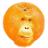 Avatar for umabon