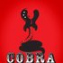 Cobra Collective 的头像