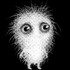 Avatar for adiebird
