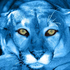 Avatar for villela