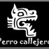 Avatar for Perro Callejero