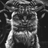 Avatar for Myslicielkaa