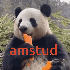 Boutin120488 的头像