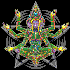 Avatar di wizardcrown