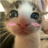 Avatar for aimeebutnot