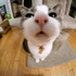 Avatar di testingitout