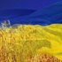 Avatar for УКРАЇНА У ВІРШАХ