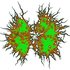 Infected Gastroenteritis 的头像
