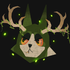 Avatar for audrey-moth