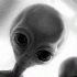 Avatar for solik_1970