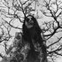 Chelsea Wolfe 的头像