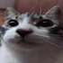 Avatar de lulld