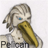 Avatar de Pelican13