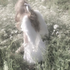 Avatar for injectingurlove
