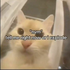 Avatar for PeterGayGay