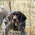 Avatar for cherylkucharek