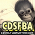 CDSFBA 的头像
