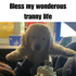 mmattyyy 的头像