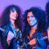 Animalize のアバター