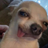 Avatar for Hikunnnn