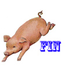 Porkfin için avatar