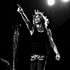 Avatar for Steven Tyler