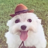 Avatar for Vadiiiii
