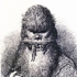 Avatar für JakobHultman