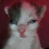 Avatar for okdunya