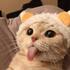 gio_tt 的头像
