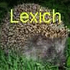 Lexich için avatar