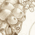 Avatar di fACTOo
