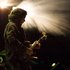 Avatar für Jeff Tweedy