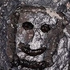 Avatar di recursivechaos
