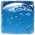 Avatar for pheist