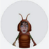 Avatar de alanakwb