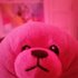 Pink Seal için avatar