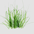 Grassgrowz için avatar