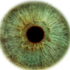 Avatar for Nfs_Pl