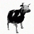 Avatar for Sakile-V