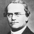 Avatar de Gregor_Mendel