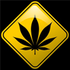 Avatar for PikuG13
