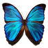 Avatar for crayzee17