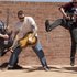 The Yard Apes のアバター