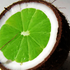 CoconutHalf için avatar