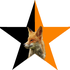 Avatar di Riot_Fox