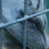 Avatar di mikkelbamse2