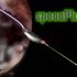 Spoonphase için avatar